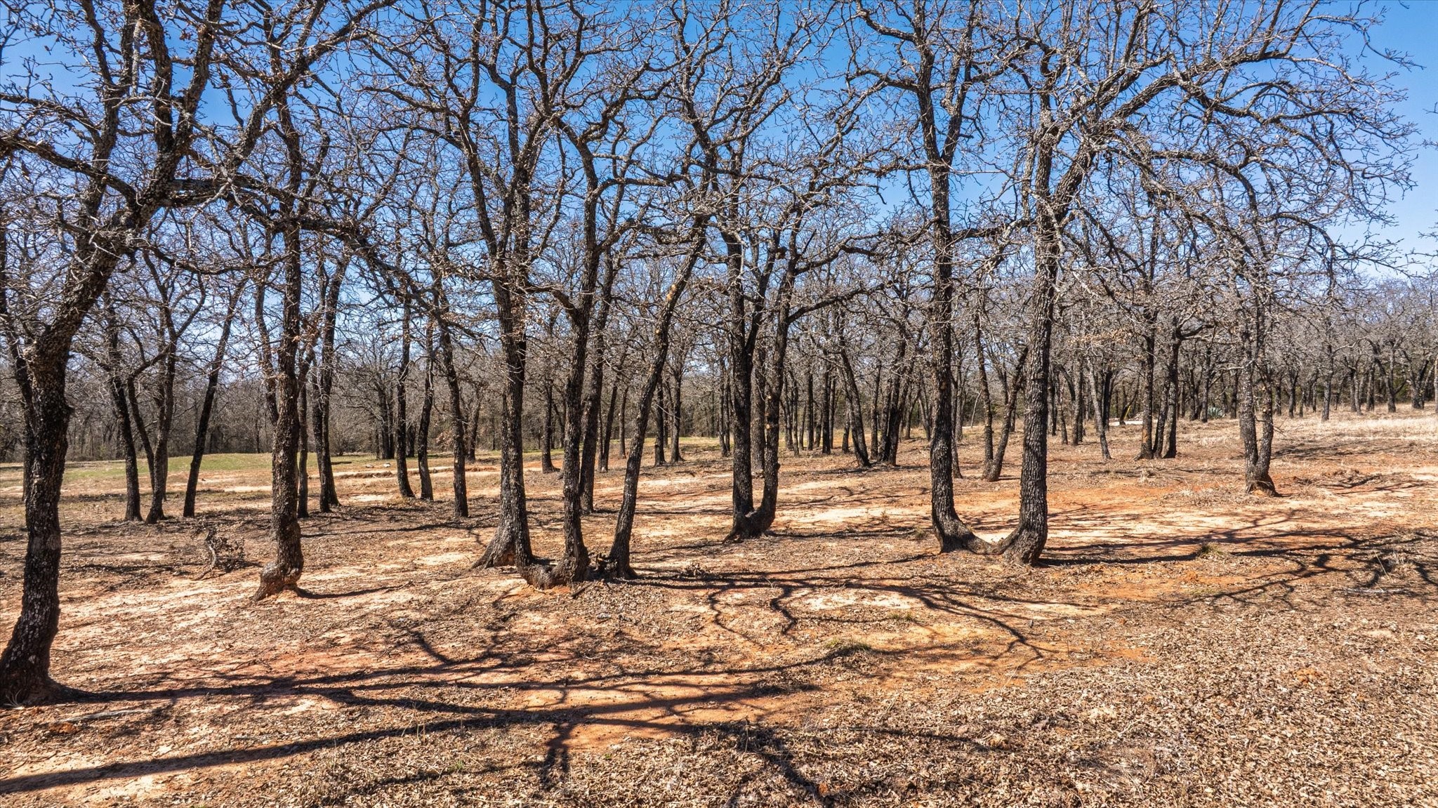 1918 Coleman Ranch Road Tolar TX 76476
