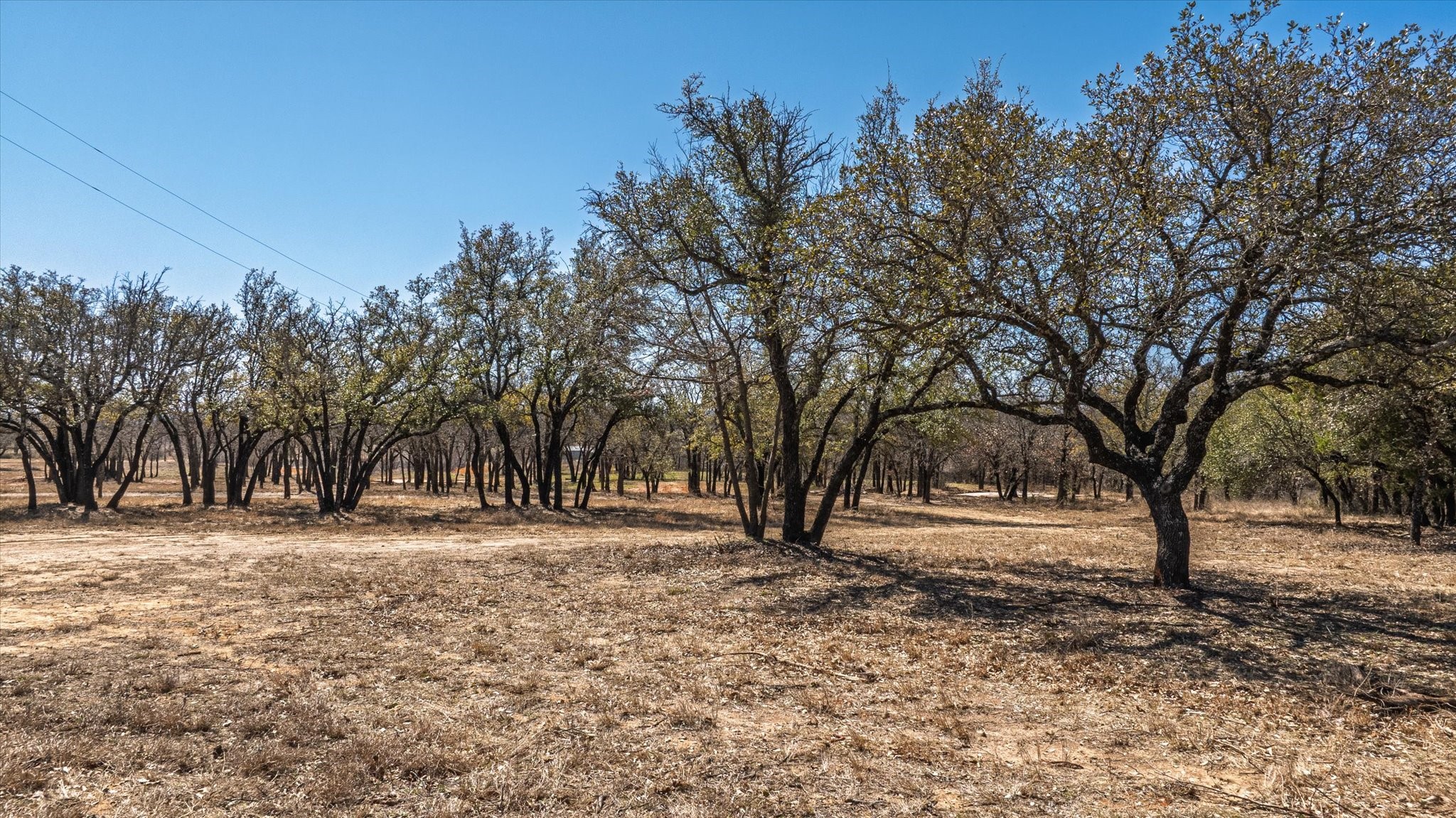 1918 Coleman Ranch Road Tolar TX 76476