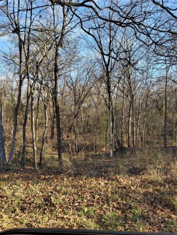 0 Wood Lane Mabank TX 75156