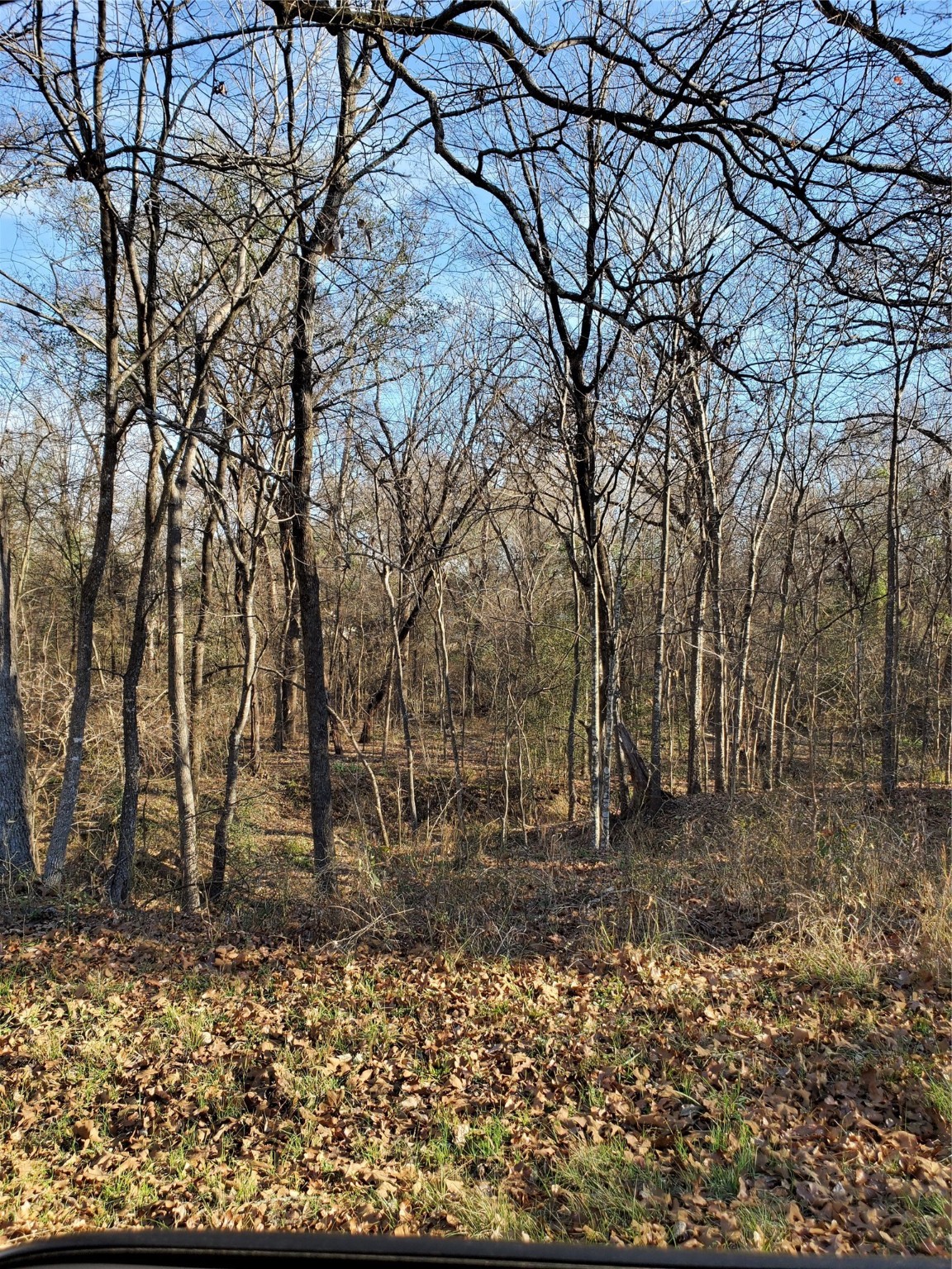 0 Wood Lane Mabank TX 75156