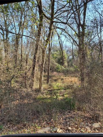 0 Wood Lane Mabank TX 75156