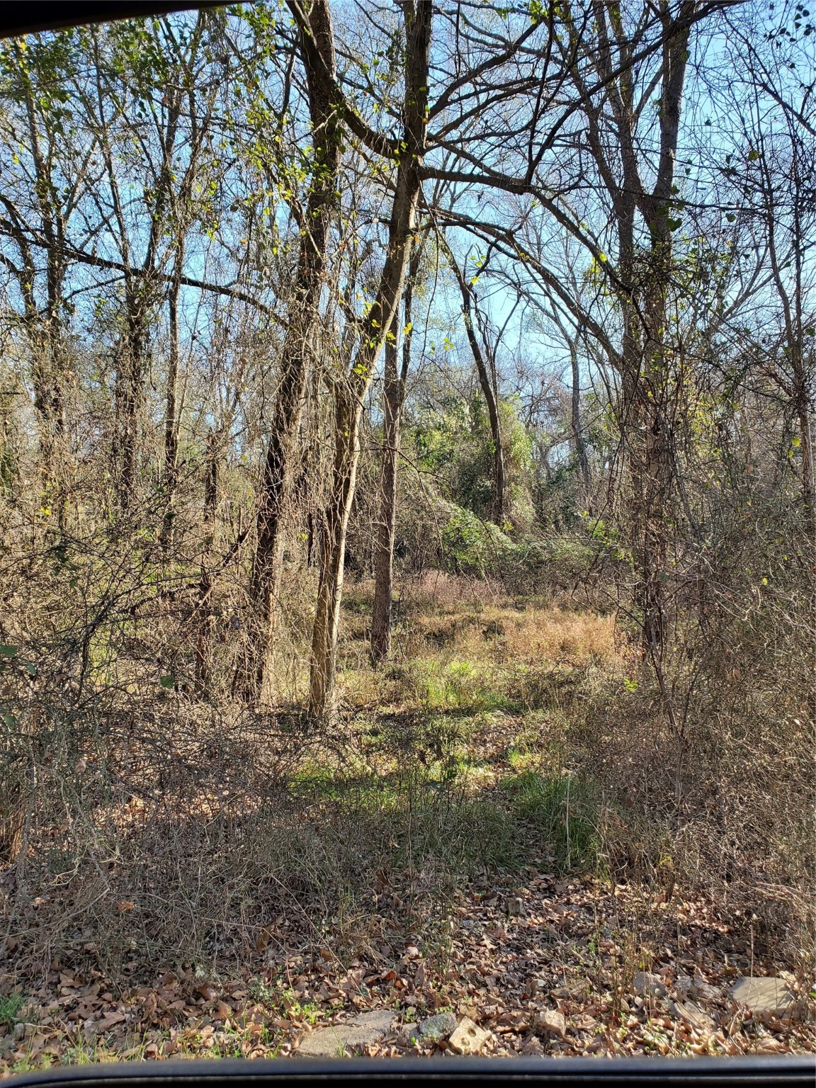 0 Wood Lane Mabank TX 75156