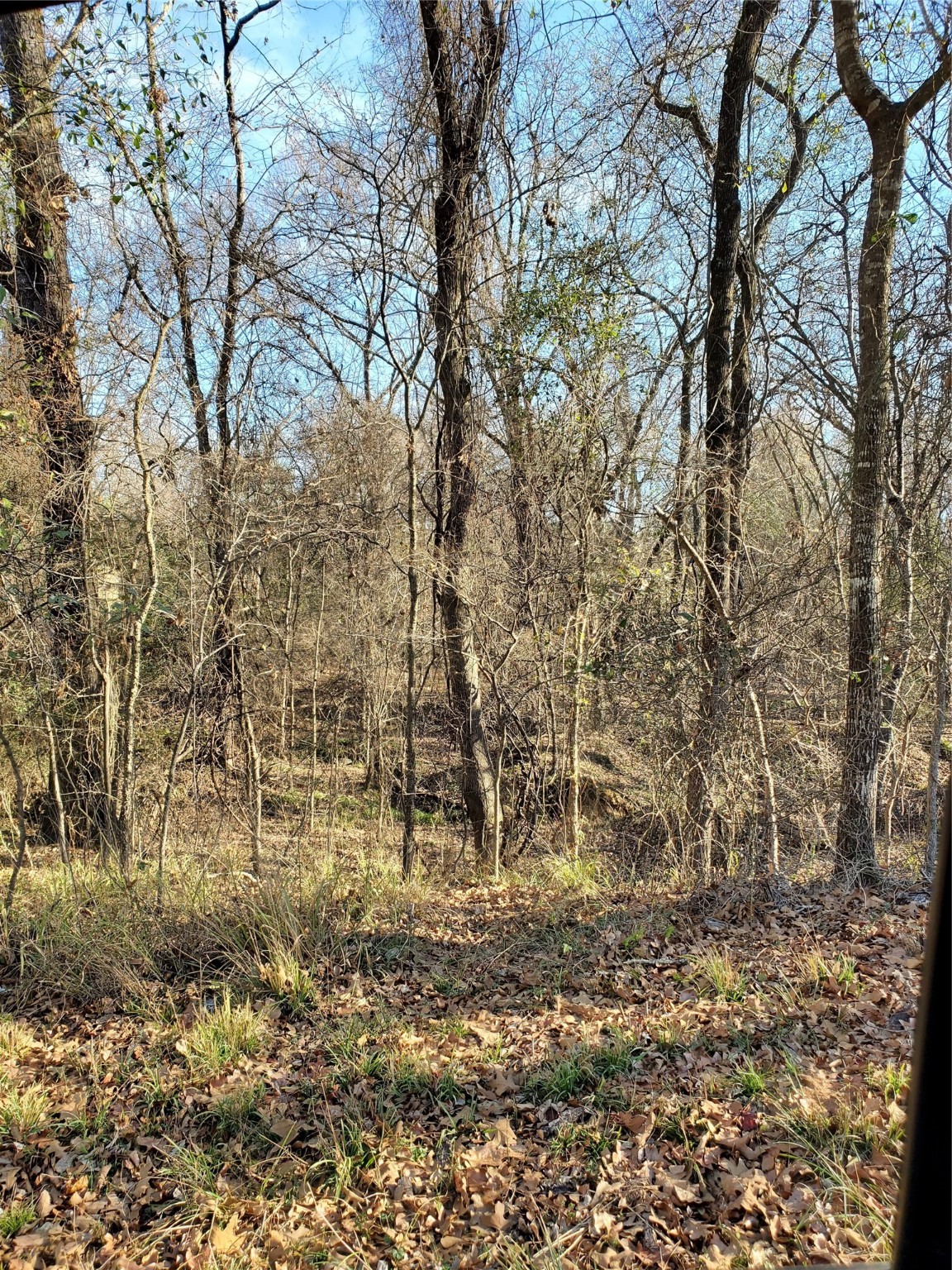 0 Wood Lane Mabank TX 75156