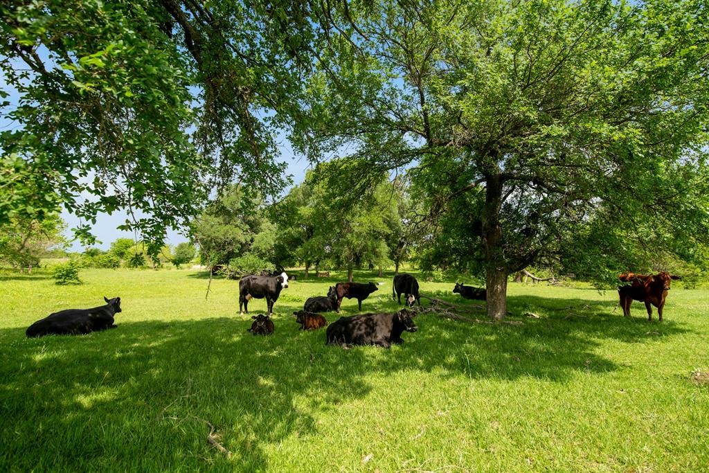 2301 Private Road 1179 Celeste TX 75423