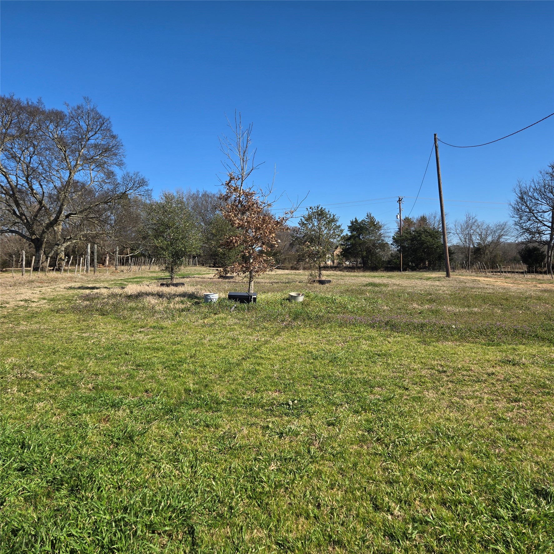 20398 Old Palestine Highway Flint TX 75762
