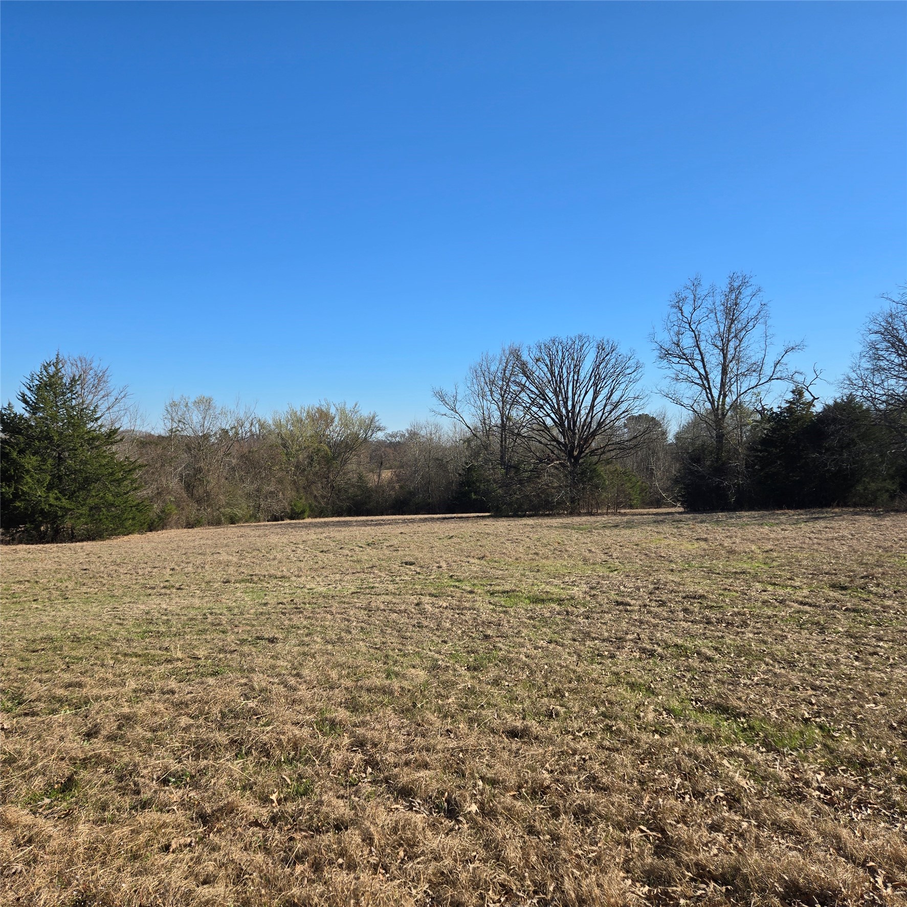 20398 Old Palestine Highway Flint TX 75762