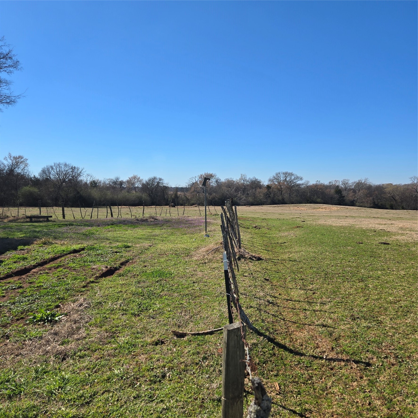 20398 Old Palestine Highway Flint TX 75762