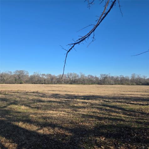 20398 Old Palestine Highway Flint TX 75762