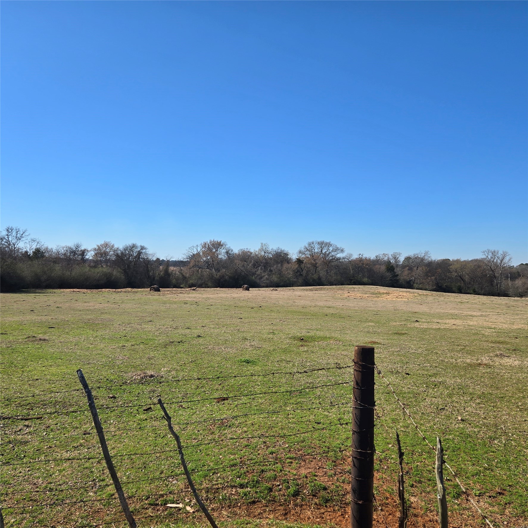 20398 Old Palestine Highway Flint TX 75762
