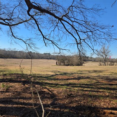 20398 Old Palestine Highway Flint TX 75762