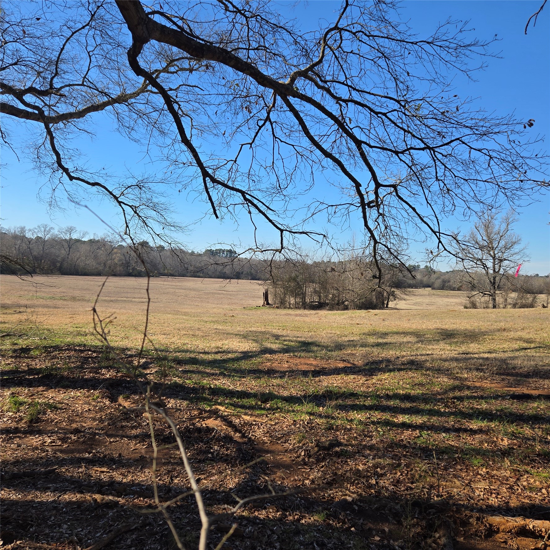 20398 Old Palestine Highway Flint TX 75762