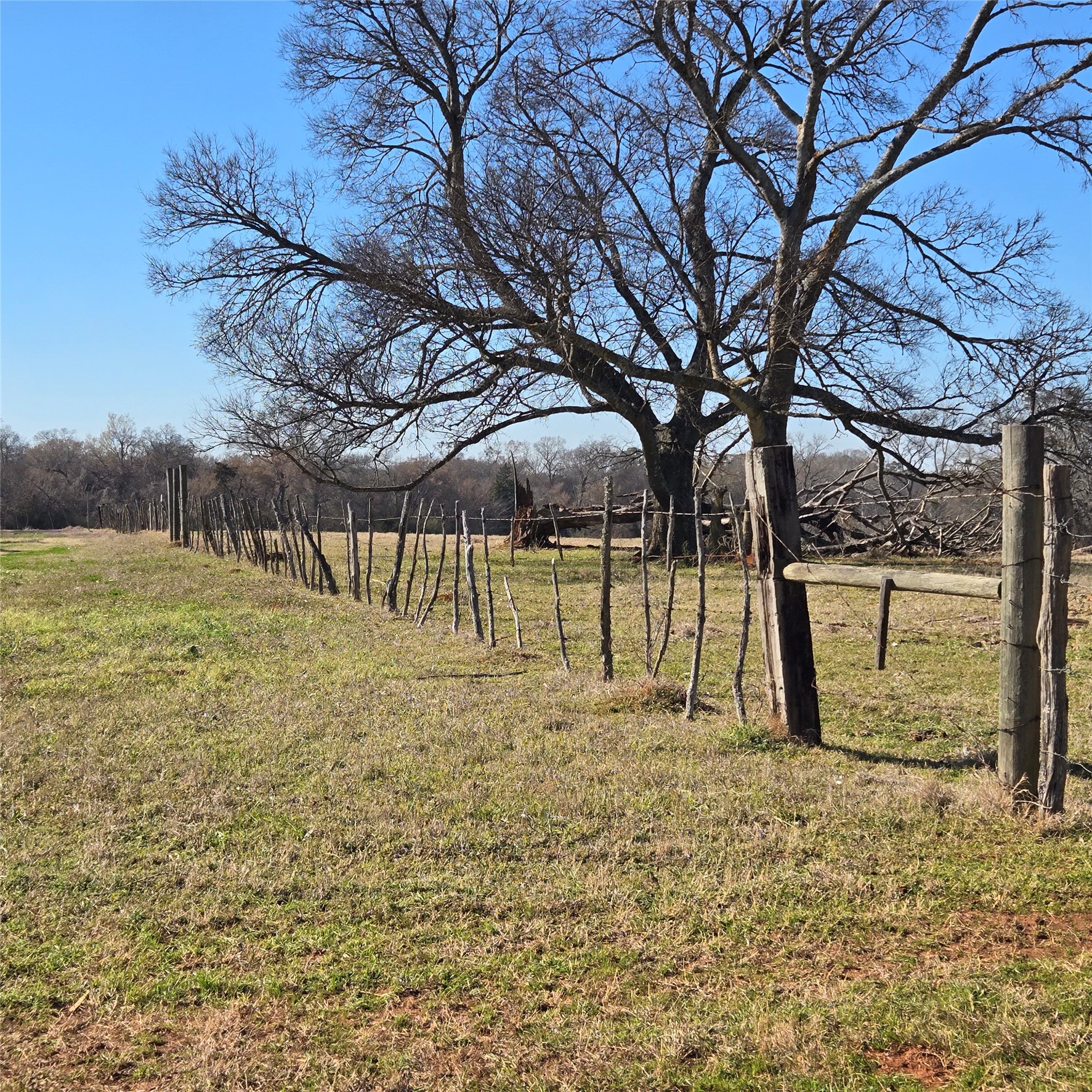 20398 Old Palestine Highway Flint TX 75762