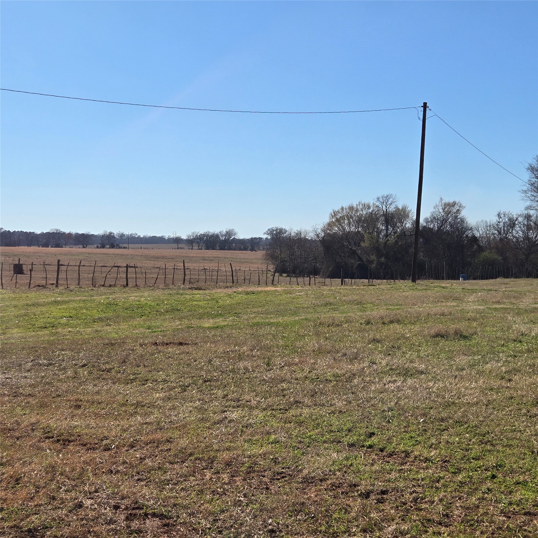 20398 Old Palestine Highway Flint TX 75762