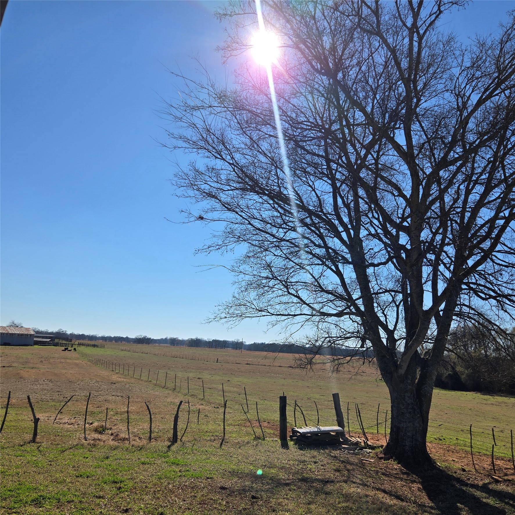20398 Old Palestine Highway Flint TX 75762