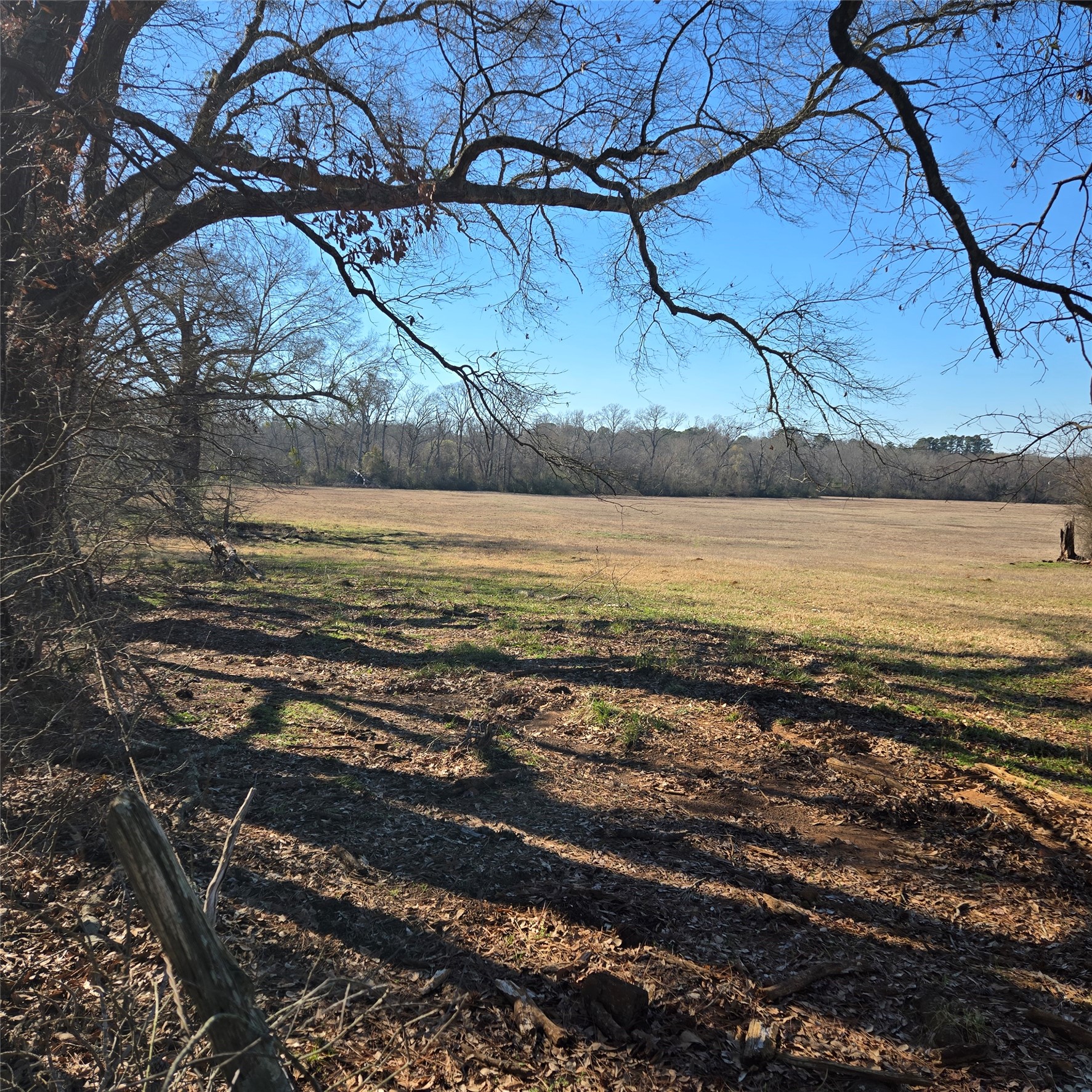 20398 Old Palestine Highway Flint TX 75762