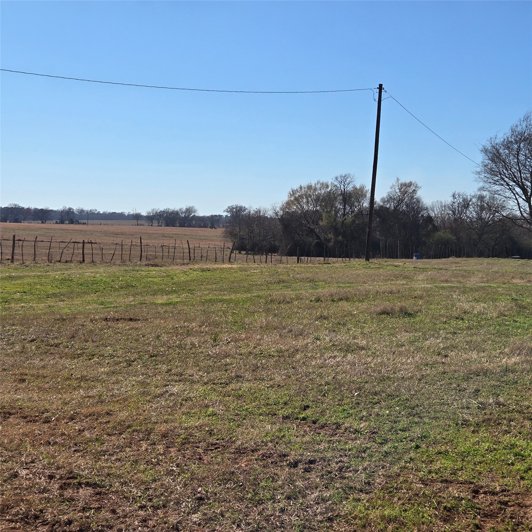 20398 Old Palestine Highway Flint TX 75762