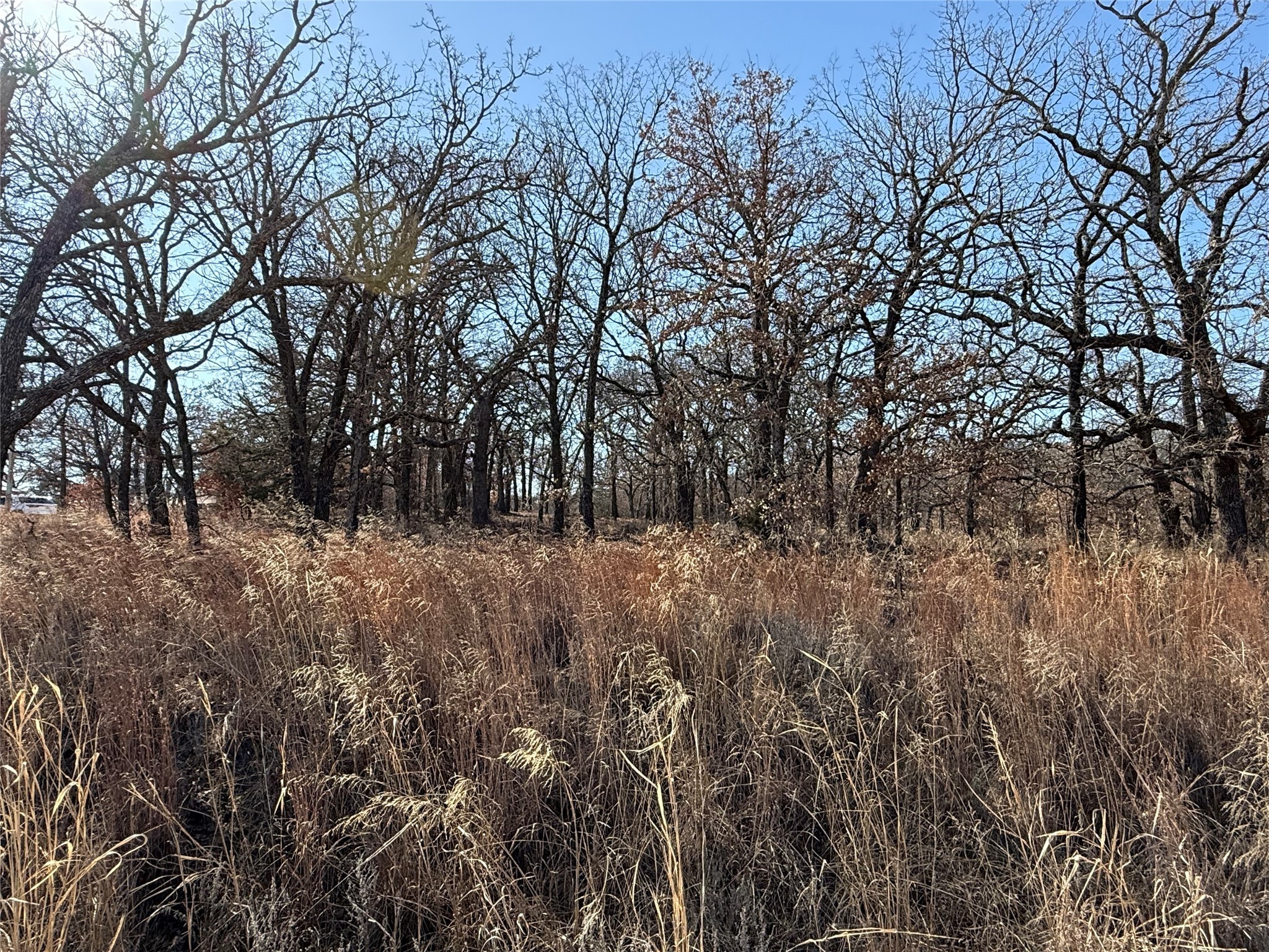 101 Comanche Trail Nocona TX 76255