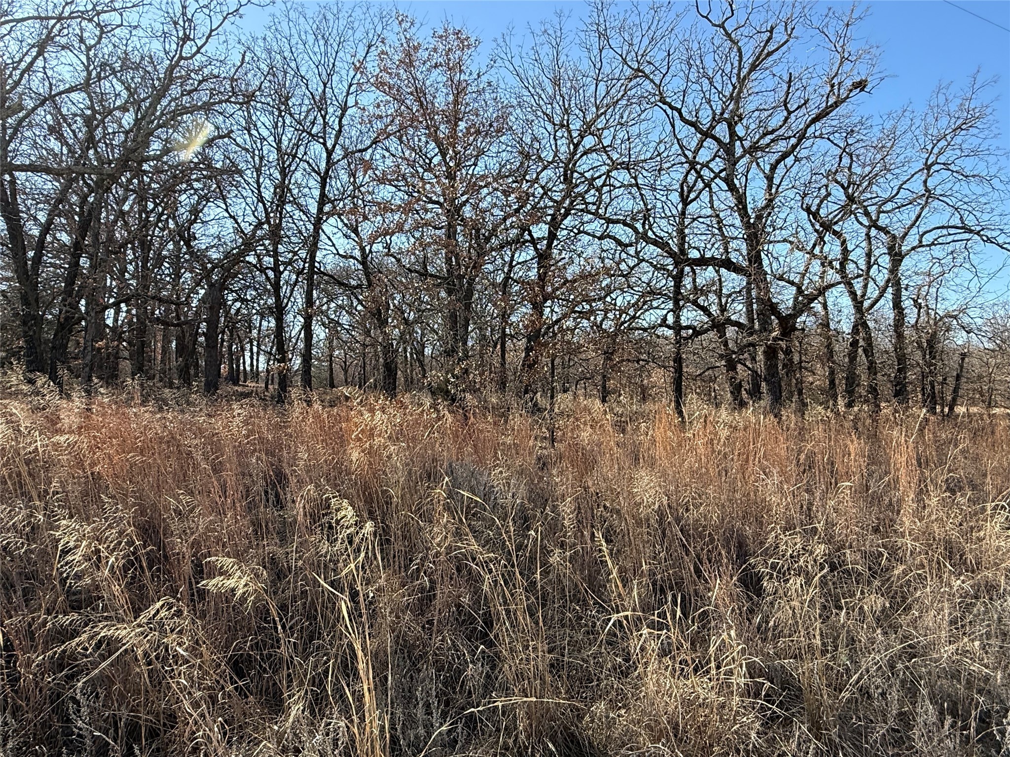 101 Comanche Trail Nocona TX 76255