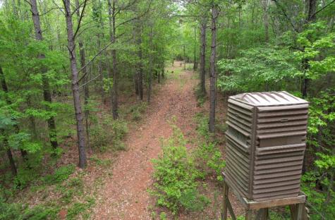 TBD County Road 120c San Augustine TX 75972