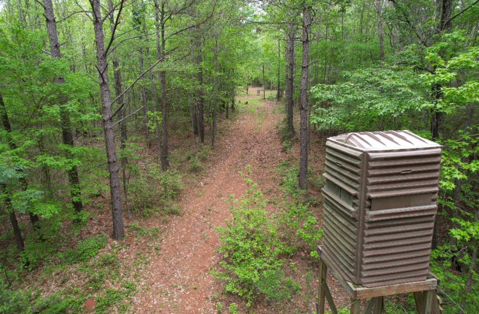 Tbd County Road 120c San Augustine TX 75972