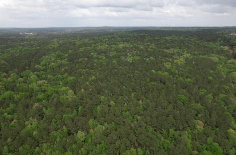 Tbd County Road 120c San Augustine TX 75972
