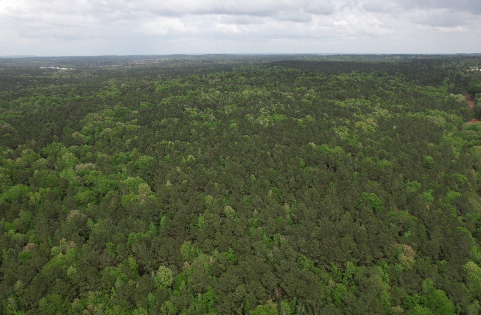 Tbd County Road 120c San Augustine TX 75972