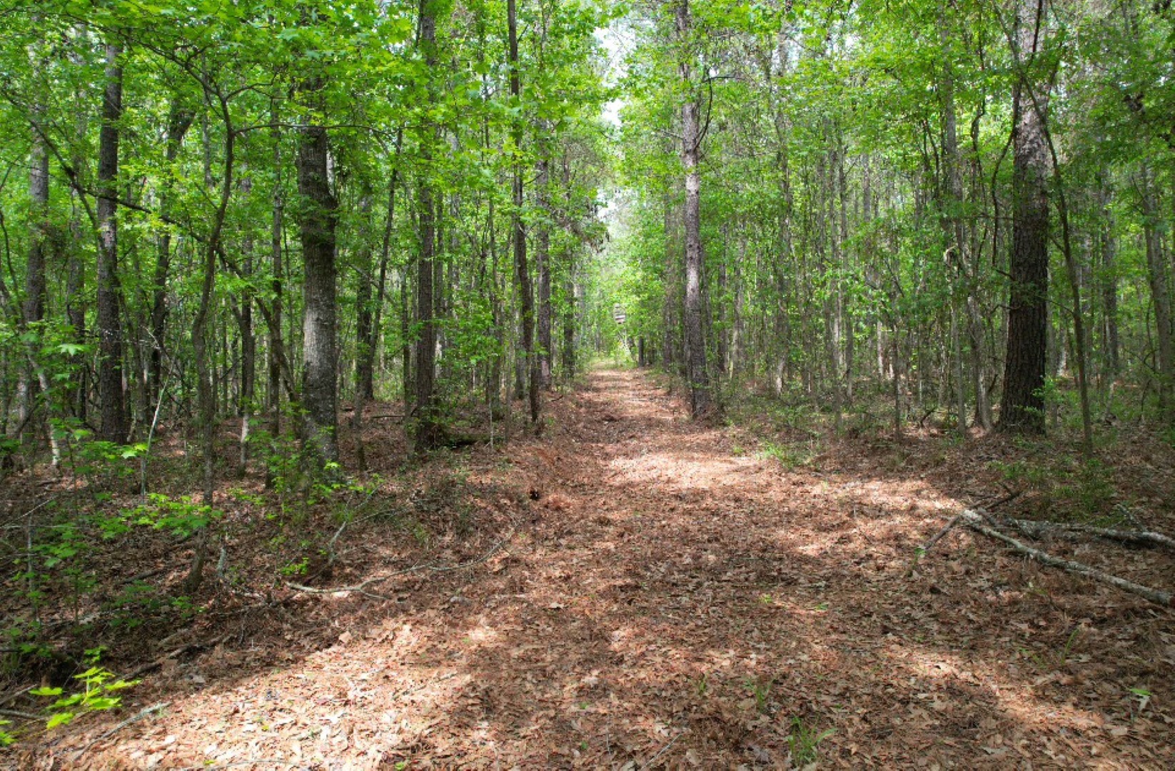 Tbd County Road 120c San Augustine TX 75972