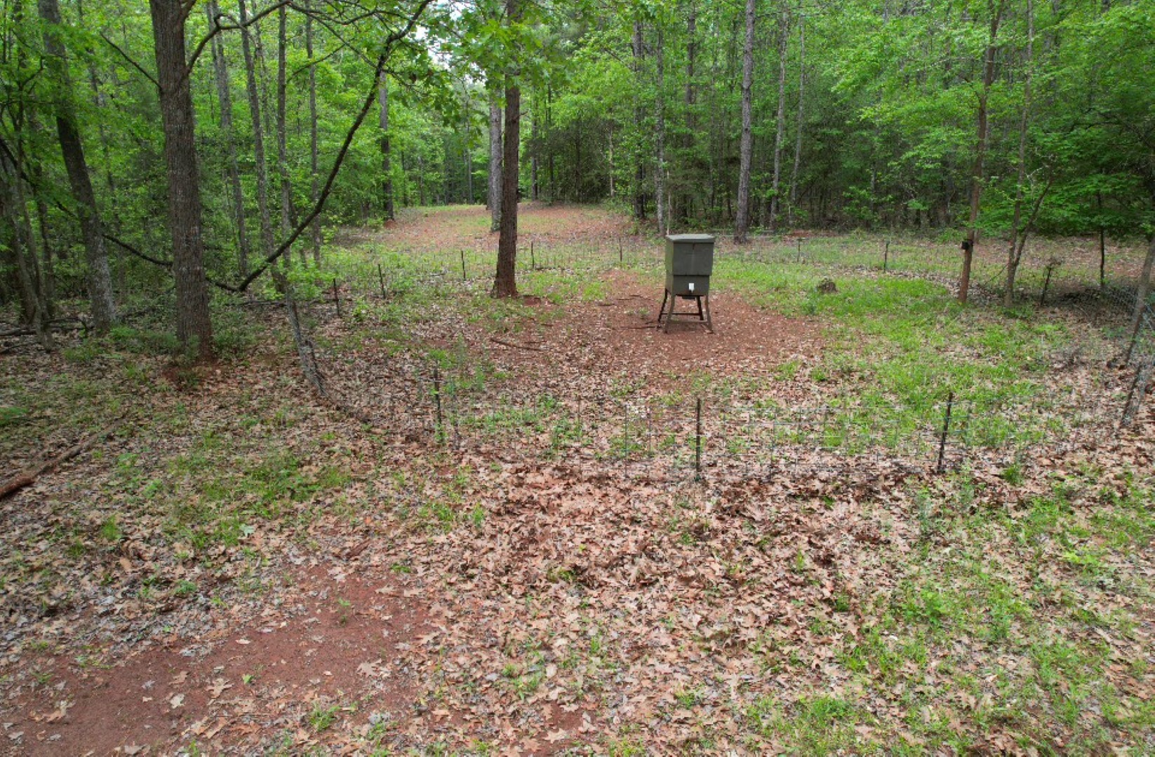 Tbd County Road 120c San Augustine TX 75972