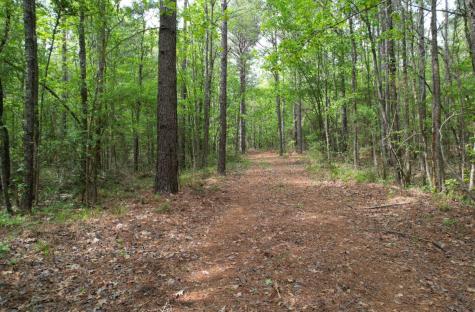 Tbd County Road 120c San Augustine TX 75972