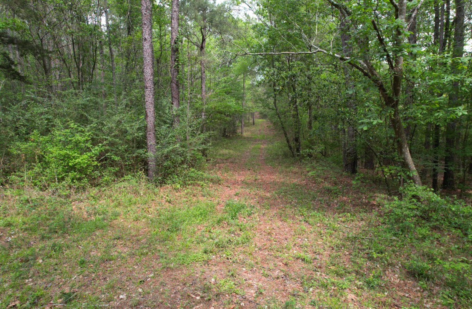 Tbd County Road 120c San Augustine TX 75972