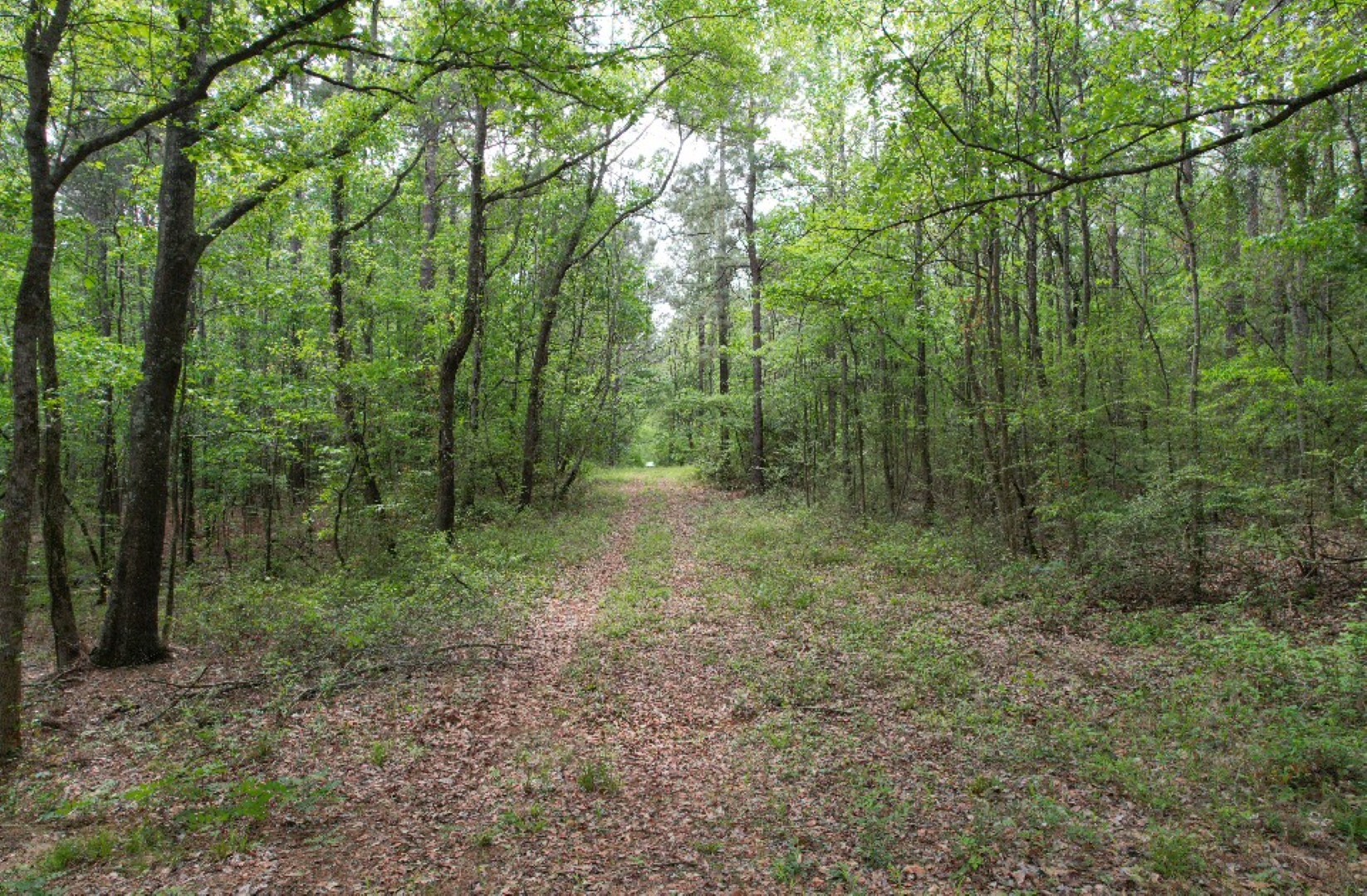 Tbd County Road 120c San Augustine TX 75972