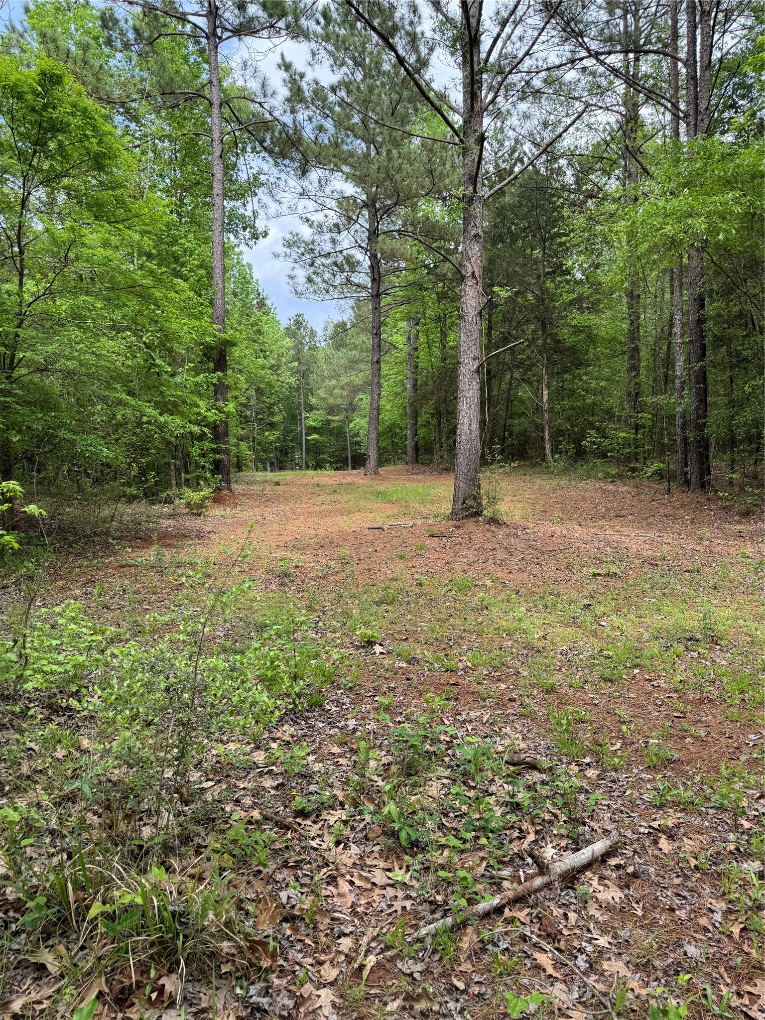 Tbd County Road 120c San Augustine TX 75972