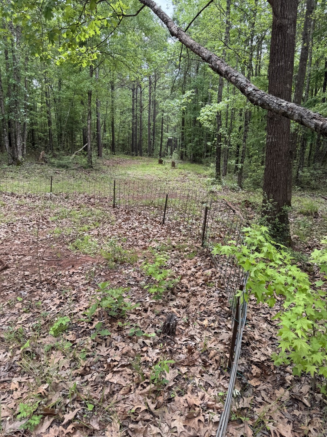 Tbd County Road 120c San Augustine TX 75972