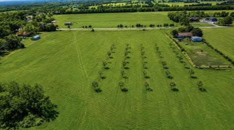 tbd Cr 571 Farmersville TX 75442