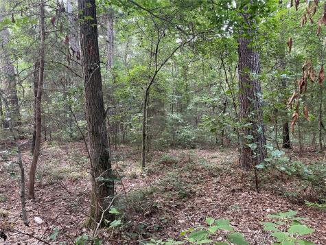 Tbd Fm-16 Winona TX 75792