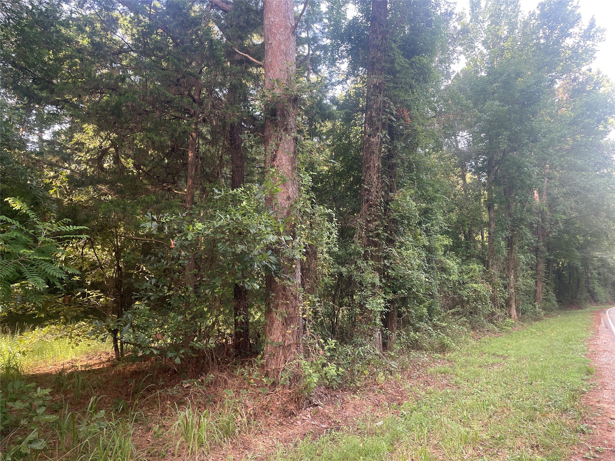 Tbd Fm-16 Winona TX 75792
