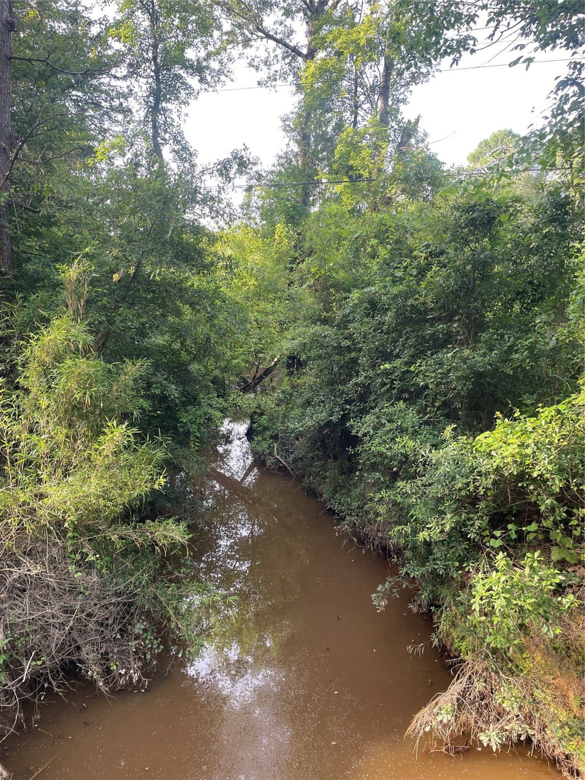 Tbd Fm-16 Winona TX 75792