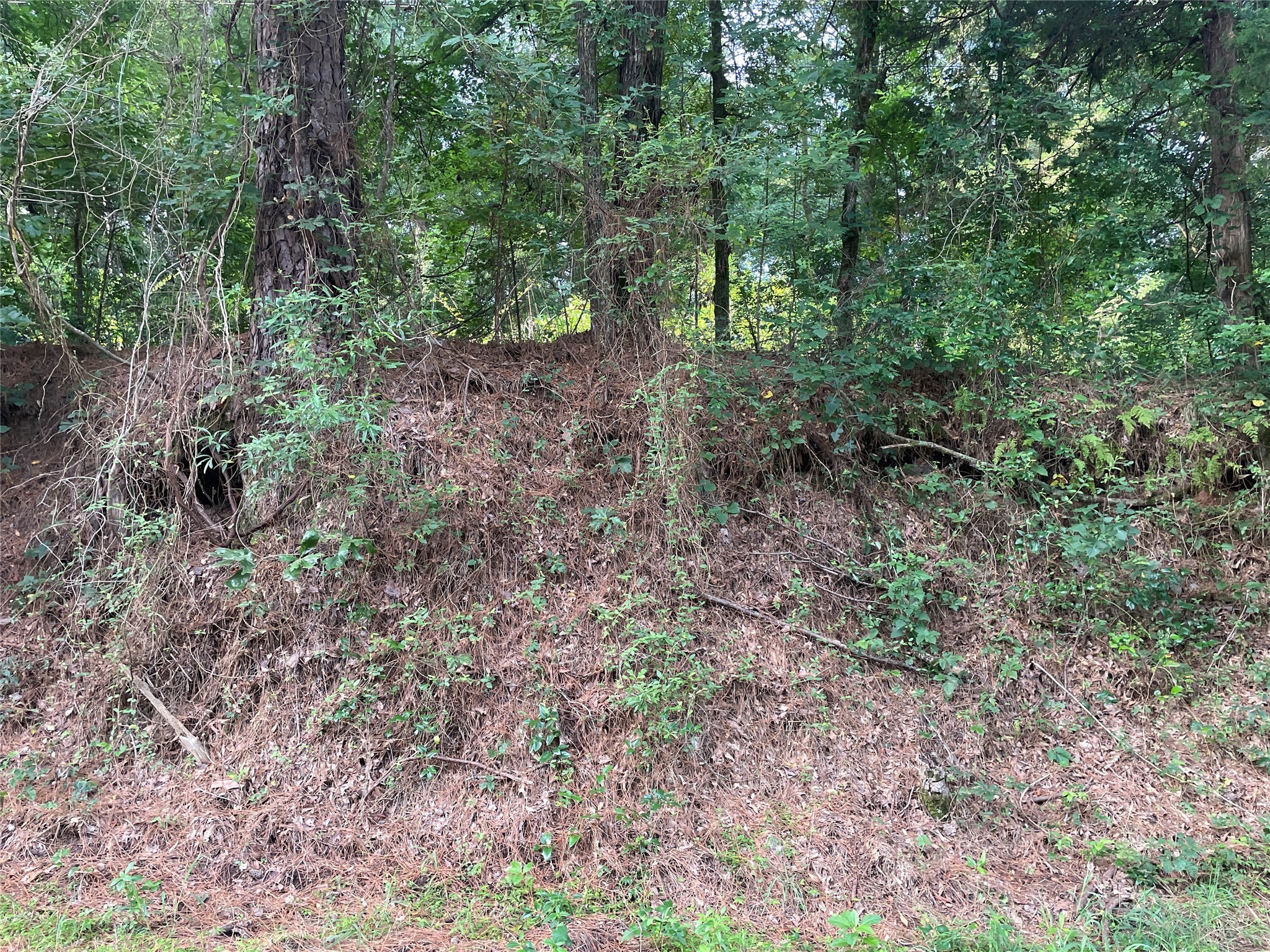 Tbd Fm-16 Winona TX 75792