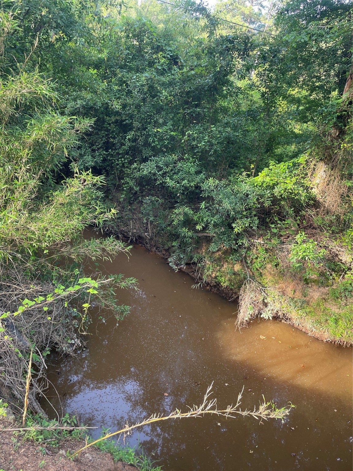 Tbd Fm-16 Winona TX 75792