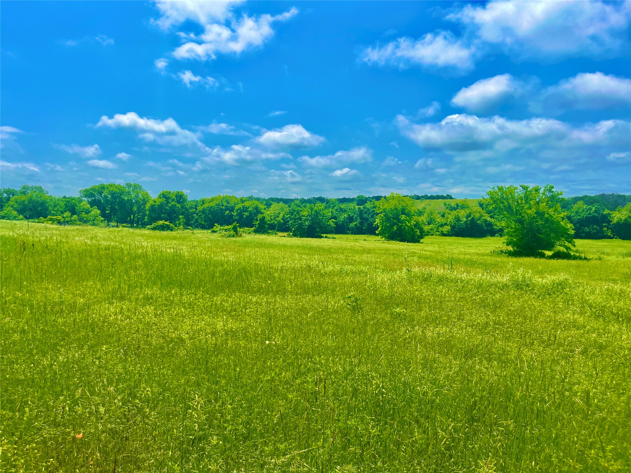 Lot 3 Clare Road Poolville TX 76487