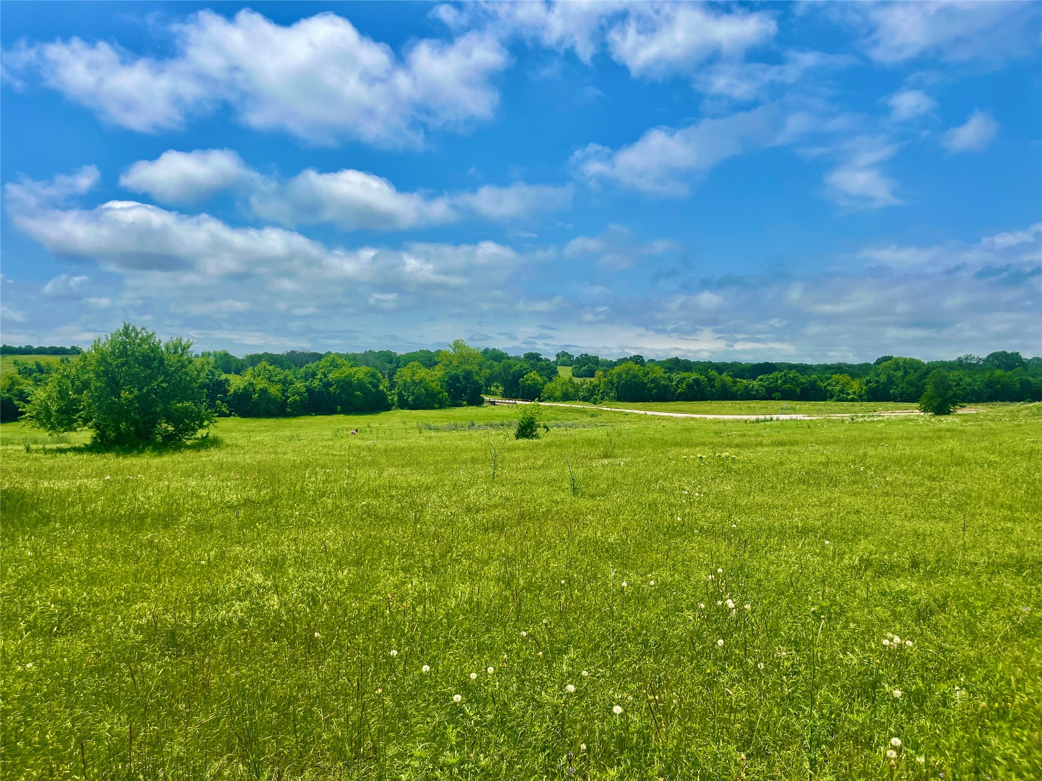 Lot 3 Clare Road Poolville TX 76487