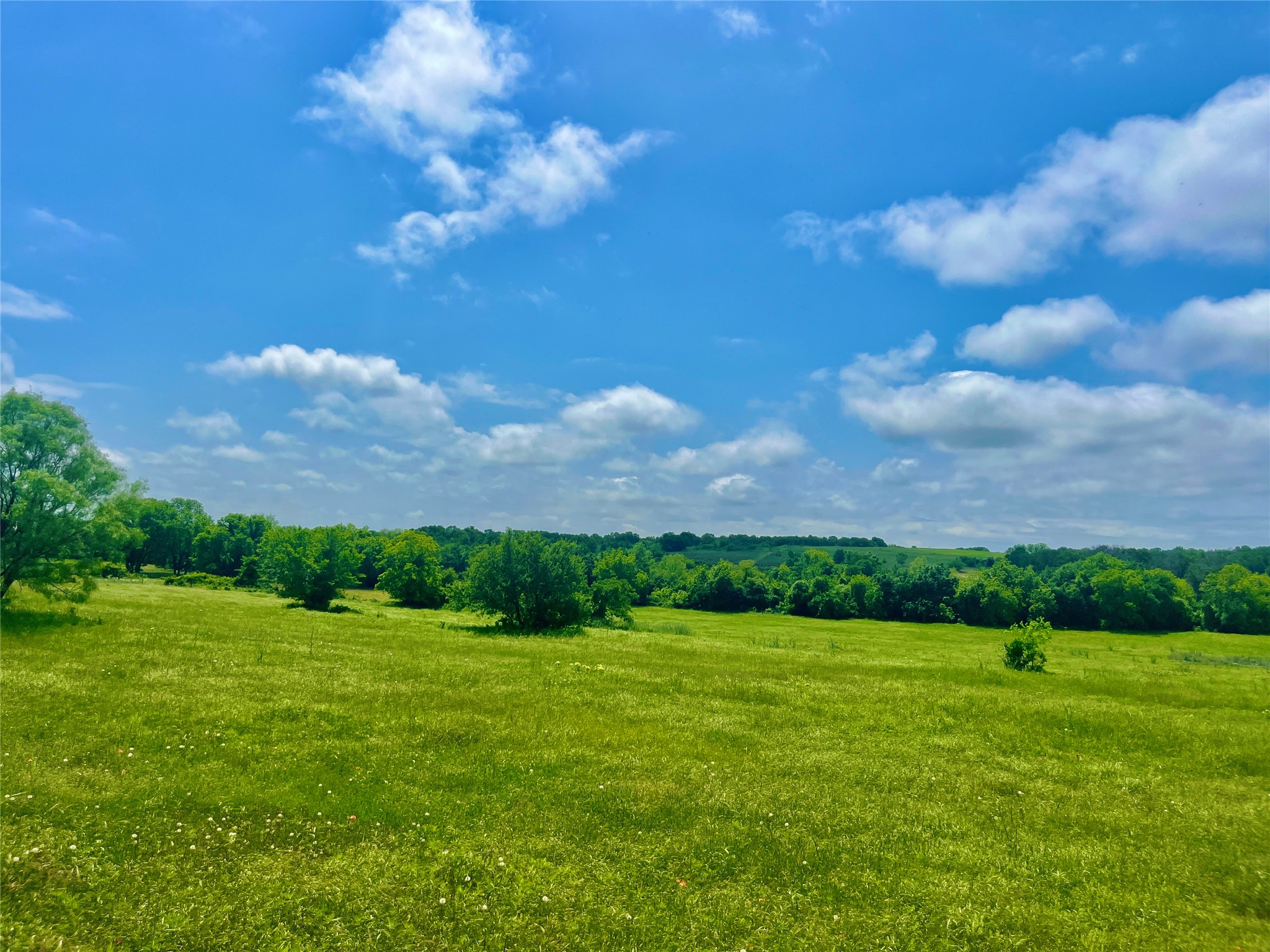 Lot 3 Clare Road Poolville TX 76487
