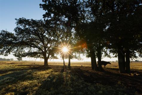 Tbd Brushy Road Granbury TX 76048