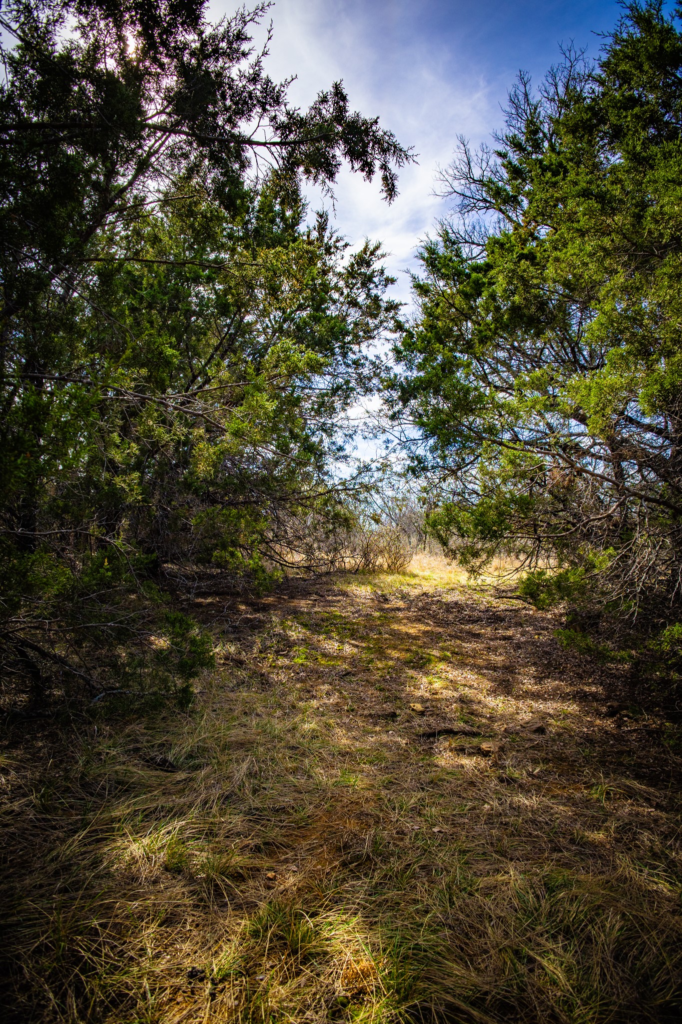 198 S Ranch Road Graham TX 76450
