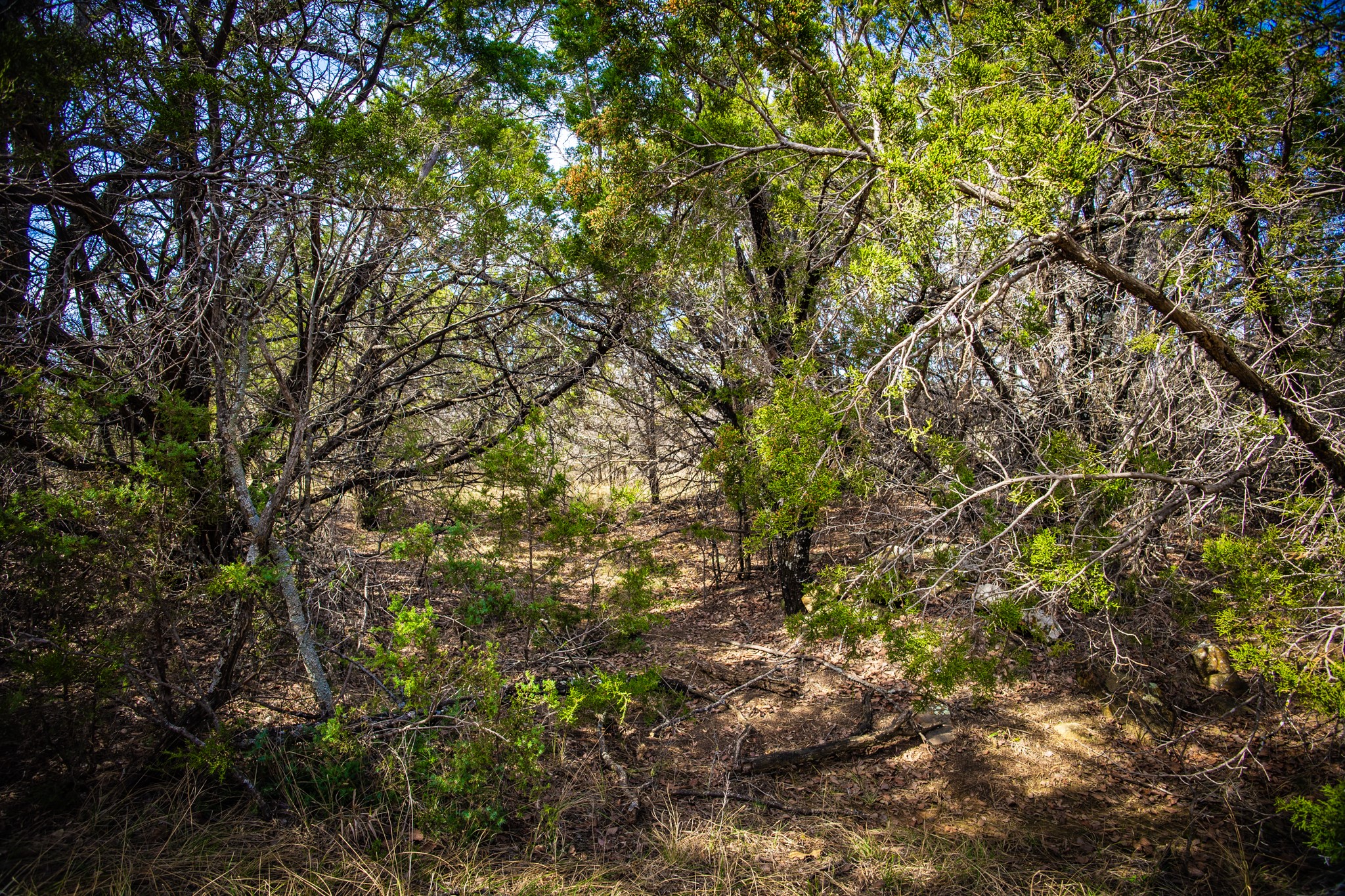 198 S Ranch Road Graham TX 76450