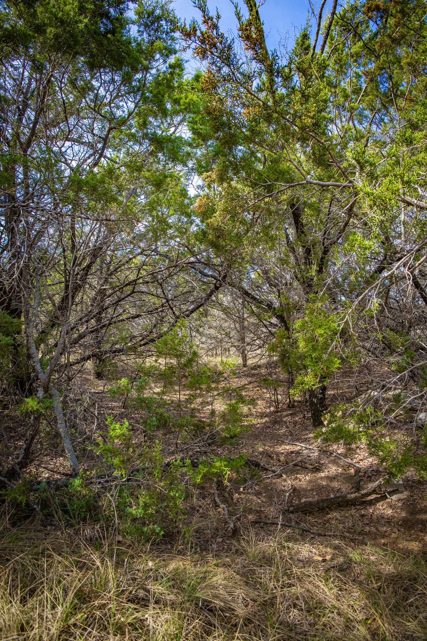 198 S Ranch Road Graham TX 76450