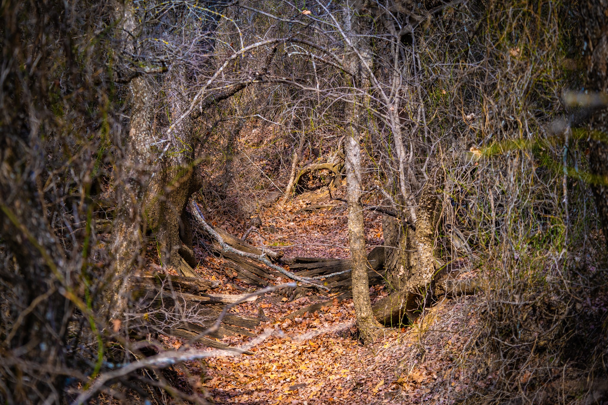 198 S Ranch Road Graham TX 76450