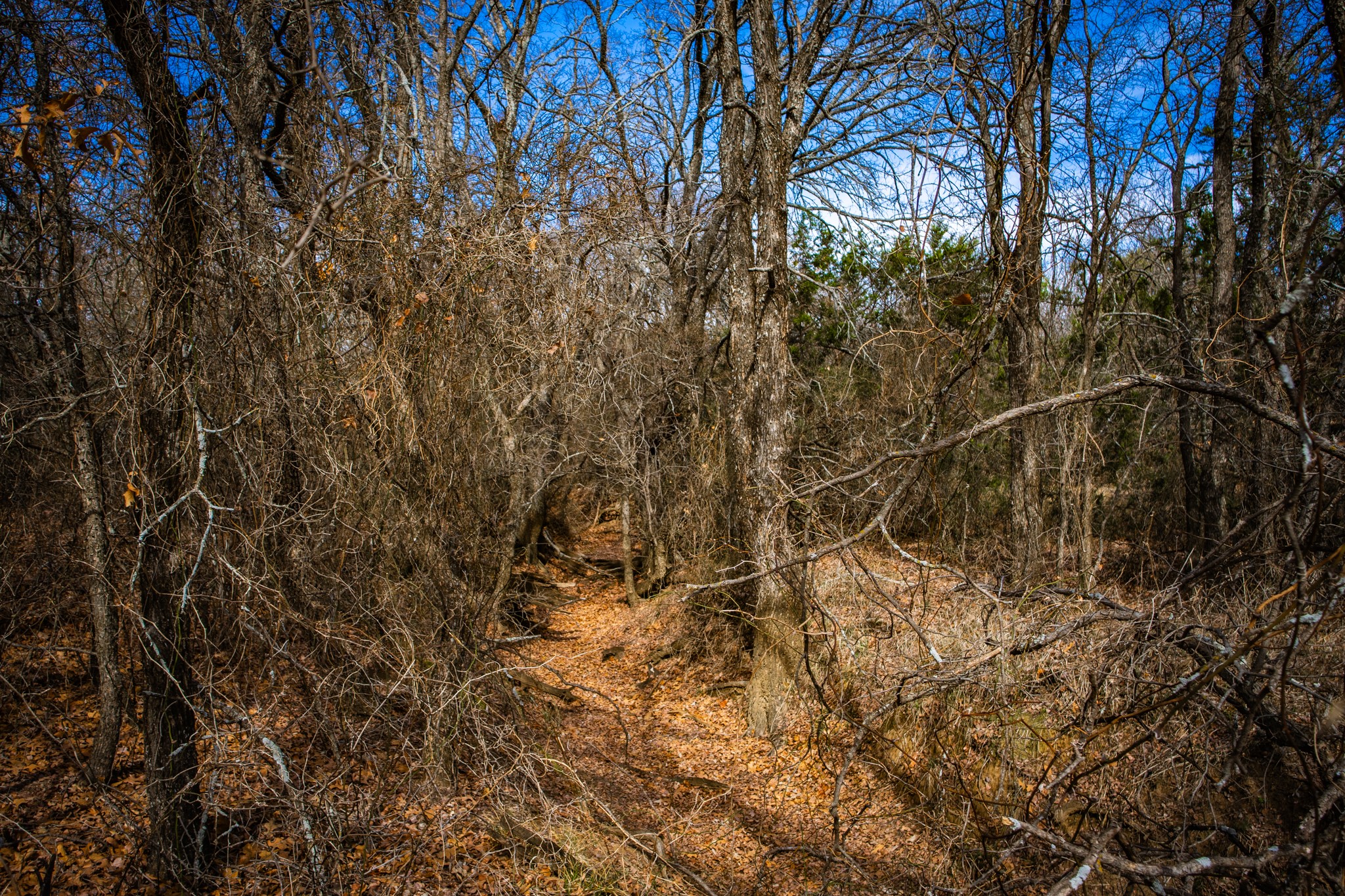 198 S Ranch Road Graham TX 76450