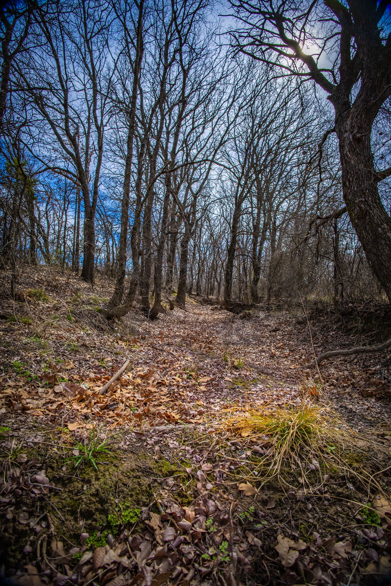 198 S Ranch Road Graham TX 76450