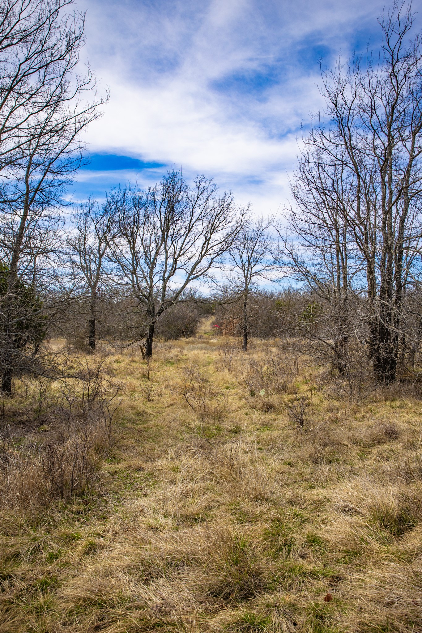 198 S Ranch Road Graham TX 76450
